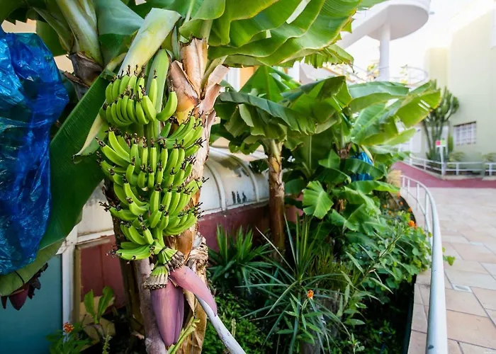 Апартаменты Orlando 85 *